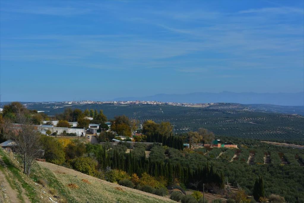 Mirador Del Guadalquivir Apartment Баеза Екстериор снимка